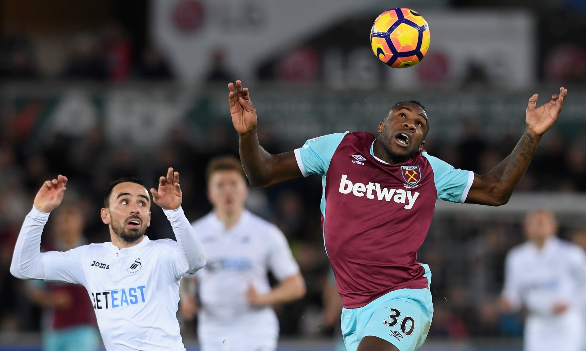 摘得桂冠 摘得桂冠